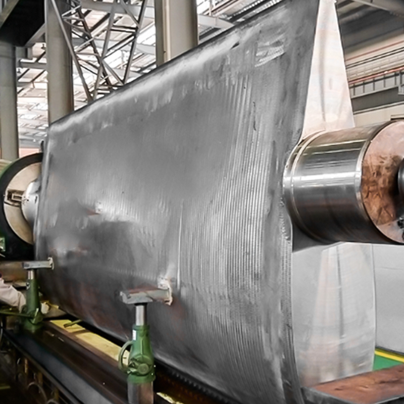 دليل المطروقات ريشة